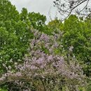 오동농장 이미지