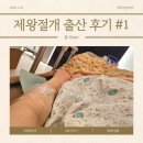 트리니움여성병원 | [출산] 세종 트리니움 여성 병원 제왕절개 출산 후기 DAY1