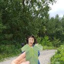 생태랑 놀아볼까 이미지