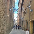 캄보식당 | <이 사랑 통역 되나요?> 속 그곳! 토스카나 소도시 시에나!