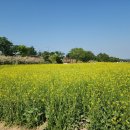 도담한정식 이미지