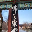 장보이소
