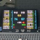 도마2체육관 | December, 2024 (The Winter&#39;s Tale)