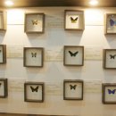 (주)제주 유리의 성 이미지