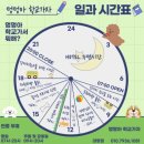 멍멍아학교가자 (대명점) 이미지