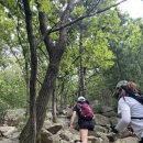 벽운클럽 | [서울] 8월 수락산 주봉 벽운계곡 추천코스(소요시간, 난이도)