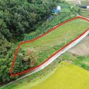 문성농장2 이미지