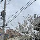 45st. 이미지