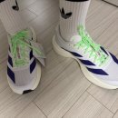 퍼플클라우드 | 이 색감 뭐야... 실물 미쳤다는 아디제로 EVO SL 퍼플 후기💜