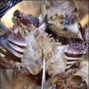 들꽃세상 | 남양주 한정식 맛집 [들꽃한상] 아무 기대 없이 나온 드라이브 길에 만난반가운 손님 같은 식당 후기