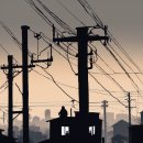 장림2동-6 이미지