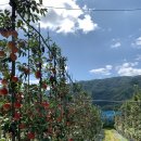 햇터농장 이미지