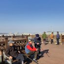 덕원 카카오 검색결과