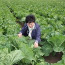 주주리농장 이미지