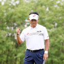 버디텔레콤 이미지