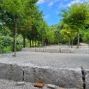 충주카누캠핑장 이미지