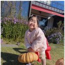 신곡어린이집