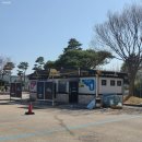 궁촌 | 삼척해양레일바이크 궁촌정거장 탑승 후기 여행지 추천