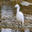 당산1교 이미지