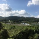이곤선생효자문 | 이곤 선생 효자문