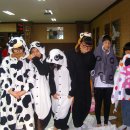 고려K타이거즈 이미지