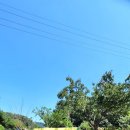 계봉농장 이미지