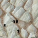 자원봉사론 이미지