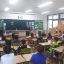 아포초교병설유치원 Daum카페