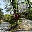 아산 대윤사 석조미륵보살입상 | 대윤사(大潤寺) - 인주면 - 아산시- 충남