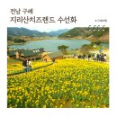 연다목장 | 4월 구례여행 가볼만한곳 지리산치즈랜드 수선화 개화상황 근처 맛집