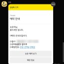 애견미용카페 보름별 | [의왕] 내손동 애견미용 &lt;몽드리안&gt; 말티푸 미용 솔직후기