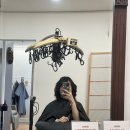 프라이빗제이 이미지