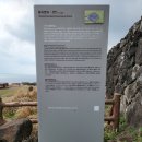 협자연대 이미지