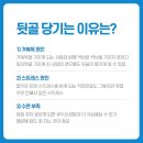 뒷골2로 티스토리