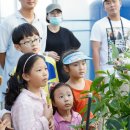 강서구-10 이미지