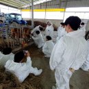 승인축산 이미지