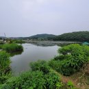 고막낚시터 이미지