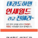 연세월드태권도 네이버블로그