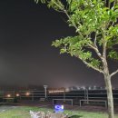 씨사이드파크카페테리아화장실 | 서울 근교 무료 차박, 영종도 씨사이드파크 차박 데이트 후기 (주차 무료, 화장실 O)