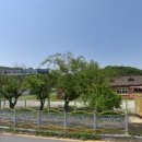 대덕초등학교유치원 이미지