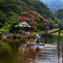 별빛뜨락 이미지