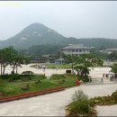 야생화 자수 | 서촌 돌아보기(1/2)-석파랑,반송,운강대,백세청풍등