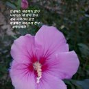 따뜻한하루에 이미지