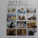 김태화동물병원 이미지