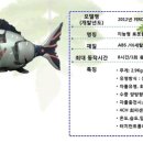 주식회사 에이치충전연구소 이미지