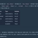 57캠프 이미지