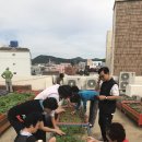 금사동 주민센터 이미지