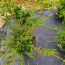 기주농장 이미지