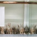 서울독립문초등학교 이미지