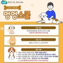 멍멍스쿨 이미지